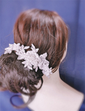 Lace Bridal Hair Clip Accessories Shining Headwear